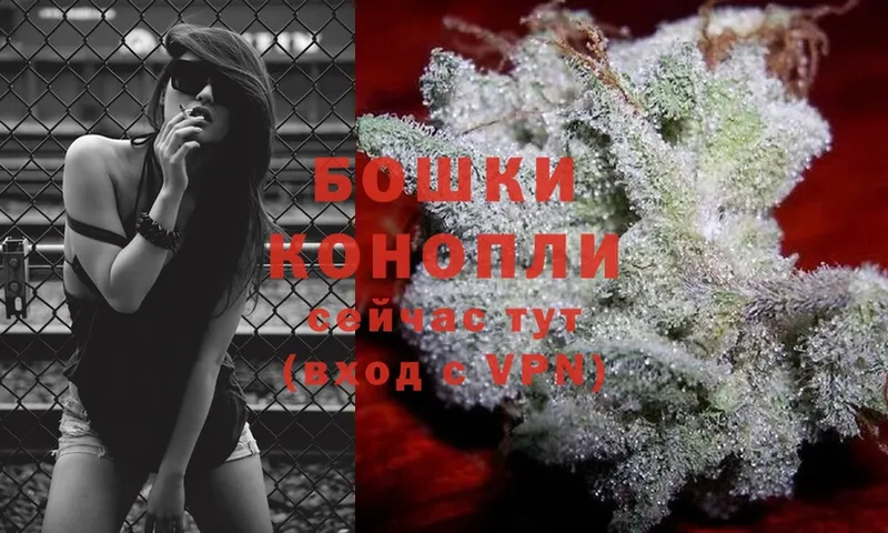 Шишки марихуана LSD WEED  Дубовка 